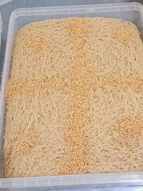 فروش کارخانه حلواشکری|فروش دفتر صنعتی، کشاورزی، تجاری|تهران, آهنگ|دیوار