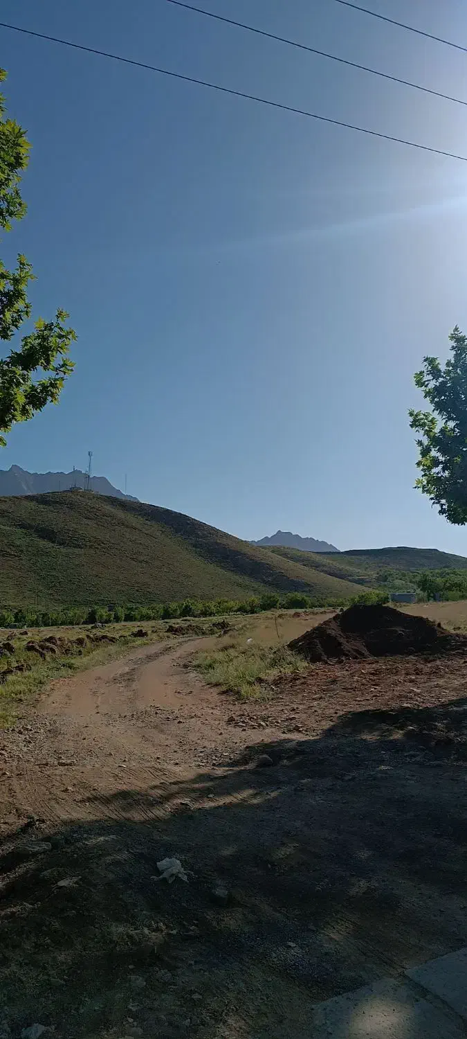 هرس درختان و سم پاشی|خدمات باغبانی و درختکاری|فولادشهر, مسکن مهر فولادشهر|دیوار