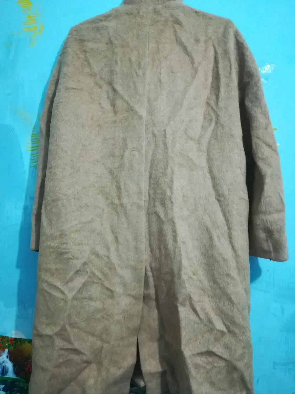 پالتو پشمی|لباس|شیراز, مسلم|دیوار