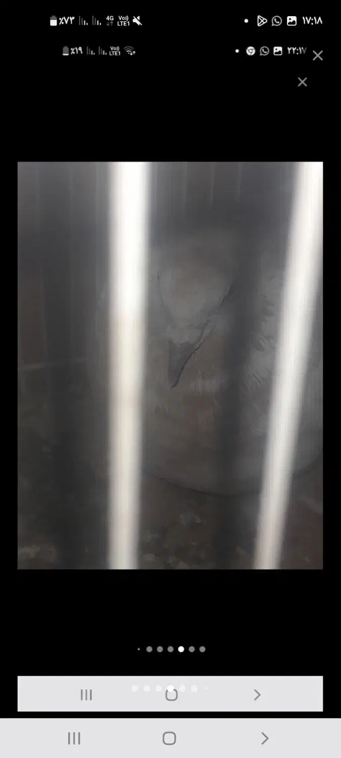 یک جفت کبوتر|پرنده|سراوان, |دیوار