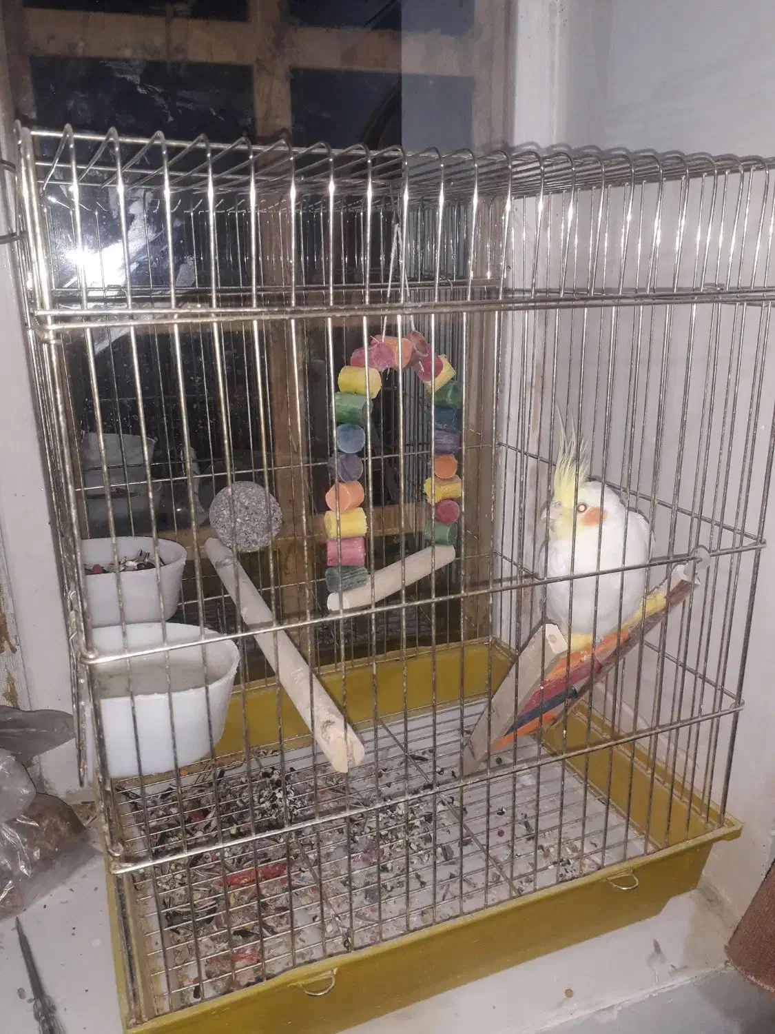 به فروش می رسد.|حراج|نورآباد ممسنی, |دیوار