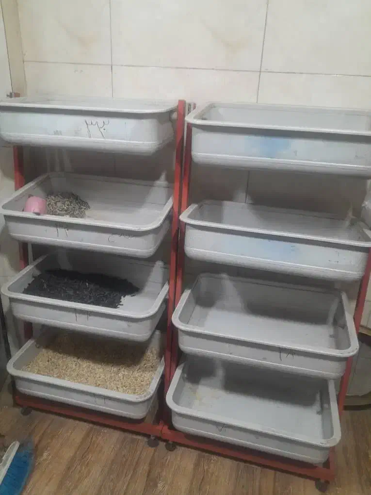 بوفه قفسه صندلی میز|فروشگاه و مغازه|شیراز, تندگویان|دیوار