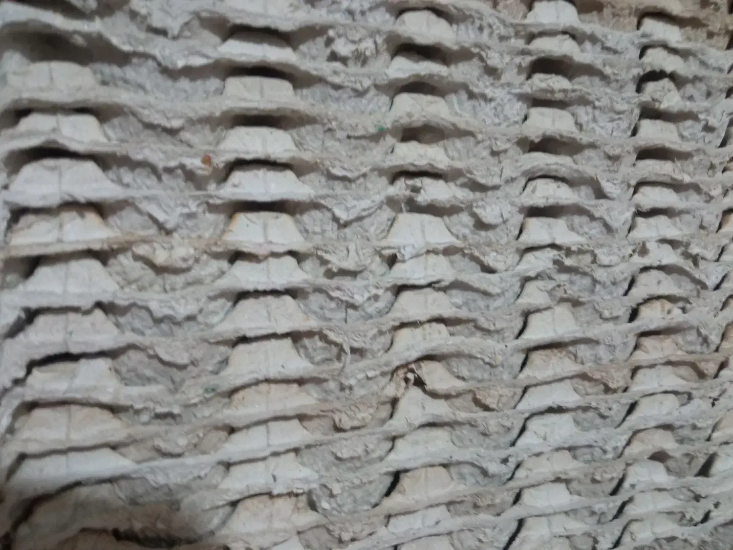 شانه تخم مرغ سالم و تمیز|عمدهفروشی|قزوین, |دیوار