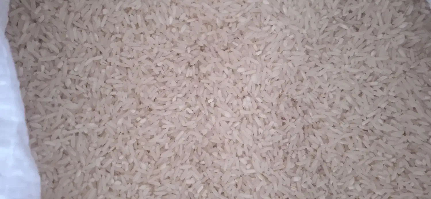 بیست کیلوبرنج هاشمی|خوردنی و آشامیدنی|دهدشت, |دیوار