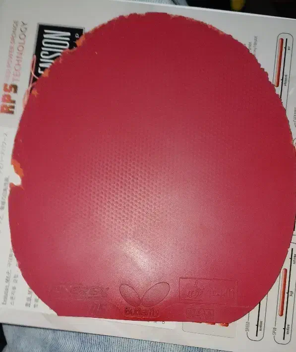 رویه راکت ژیوم و تینرژی|تجهیزات ورزشی|فولادشهر, B4|دیوار