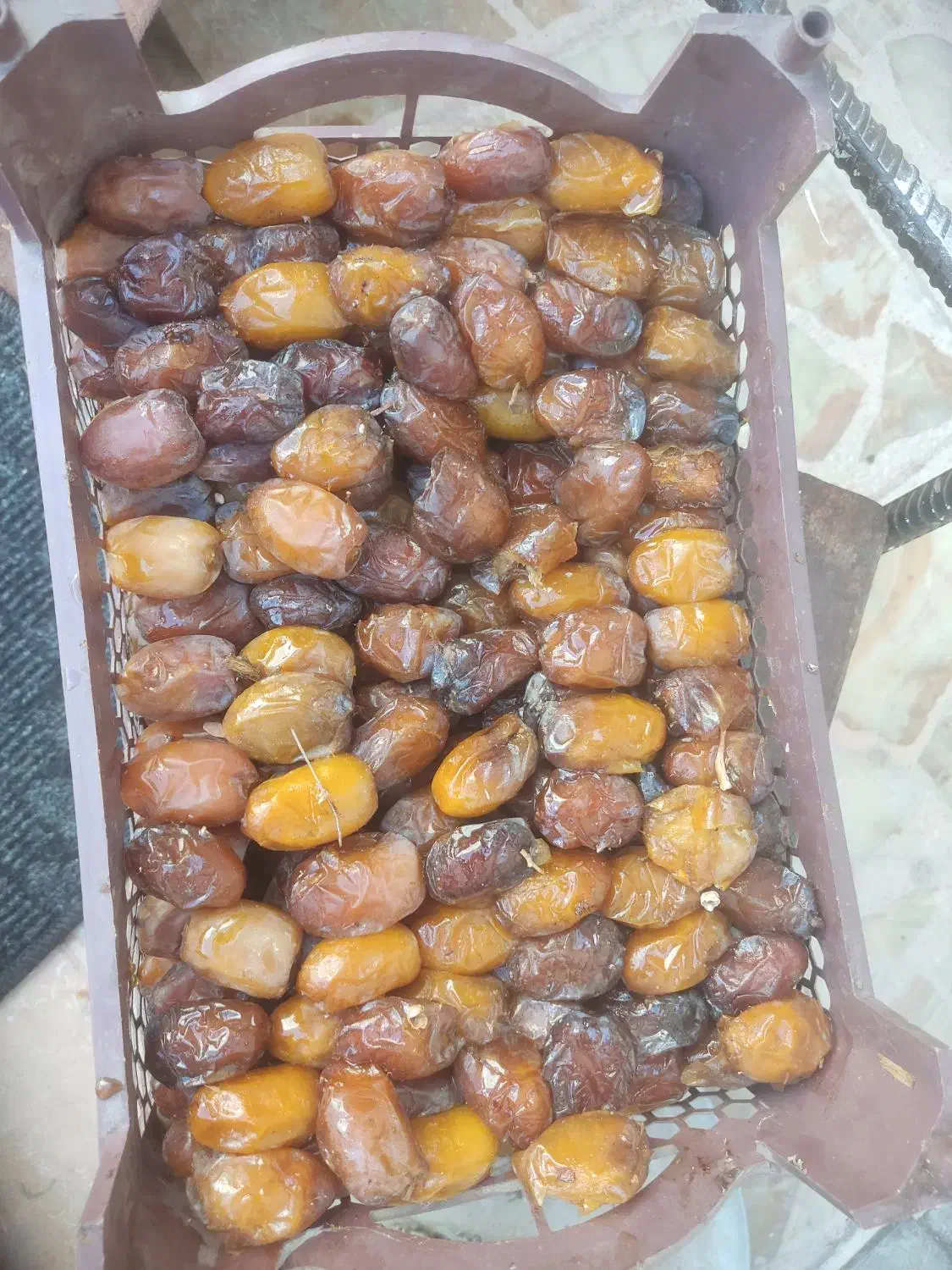 رطب کبکاب درشت ودرجه یک|خوردنی و آشامیدنی|شیراز, شهرک ولیعصر|دیوار