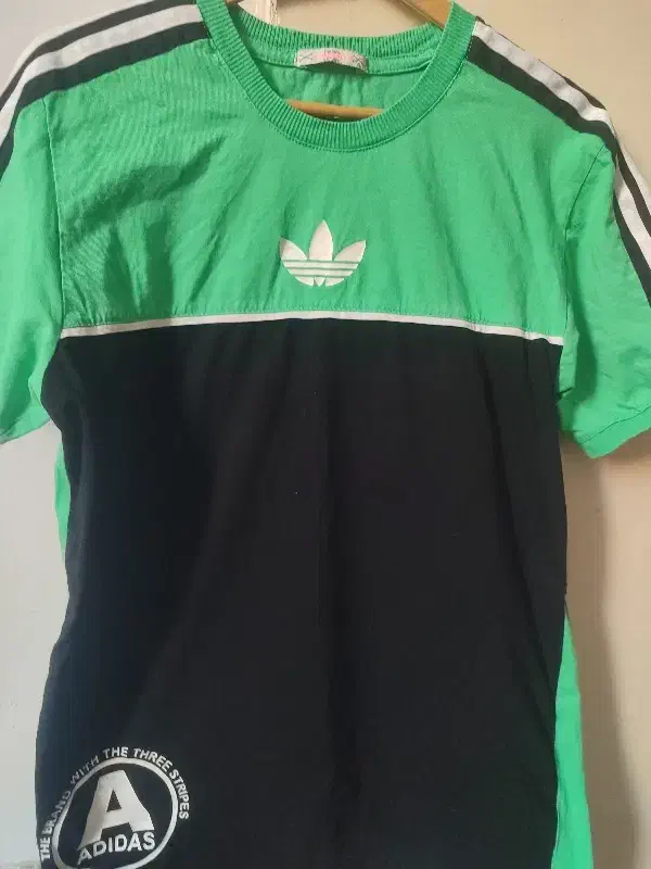 تیشرت زنانه|لباس|سنندج, |دیوار