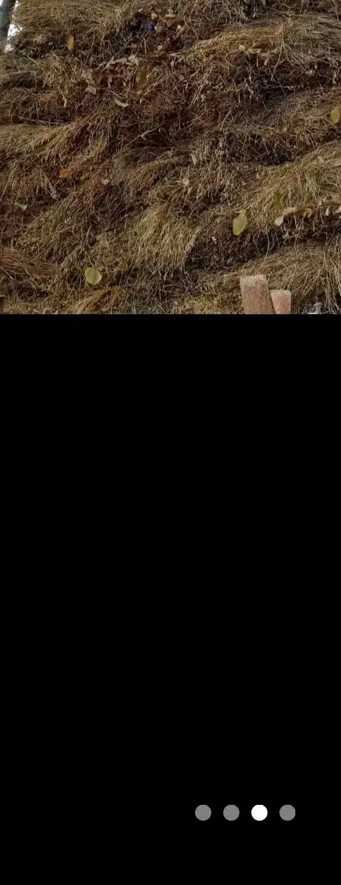 علف ویونجه کاه|عمده‌فروشی|انگوت, |دیوار