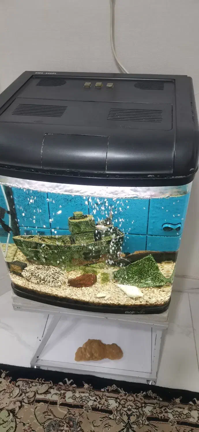 آکواریوم|ماهی|شهریار, کهنز|دیوار