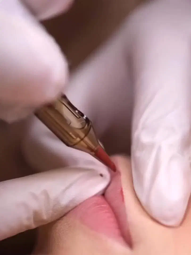 آرایش دائم|خدمات آرایشگری و زیبایی|زابل, |دیوار