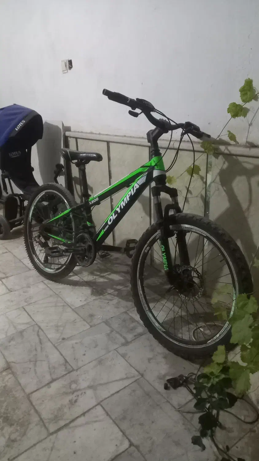 دوچرخه سایز 24 المپیا 21 دنده حرفه ای|دوچرخه، اسکیت، اسکوتر|چناران, |دیوار