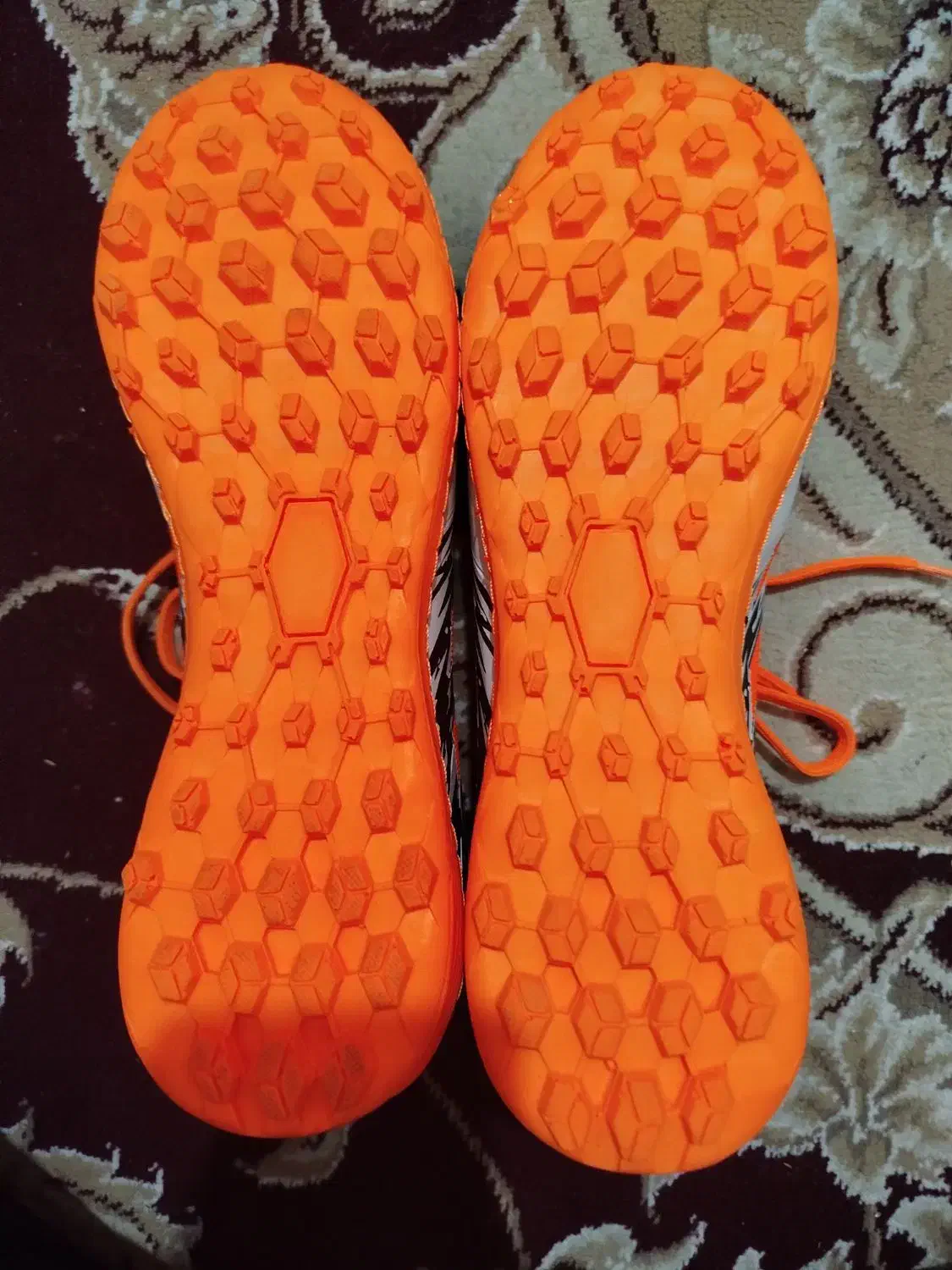 کفش|کیف، کفش، کمربند|بوشهر, |دیوار