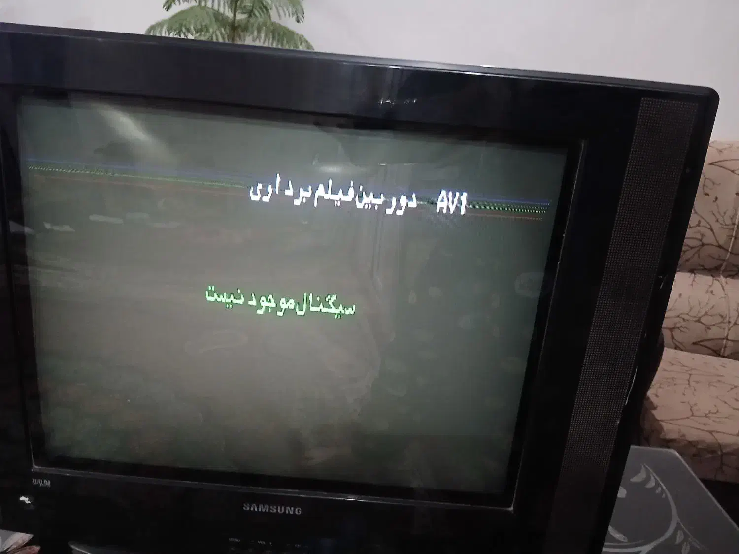 تلویزیون|تلویزیون و پروژکتور|سبزوار, کهنه آب|دیوار