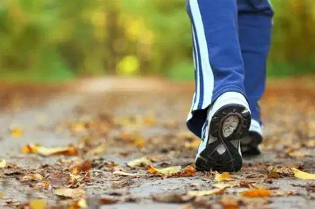 راهنمایی تفریح|فعالیت داوطلبانه|قم, بکایی|دیوار