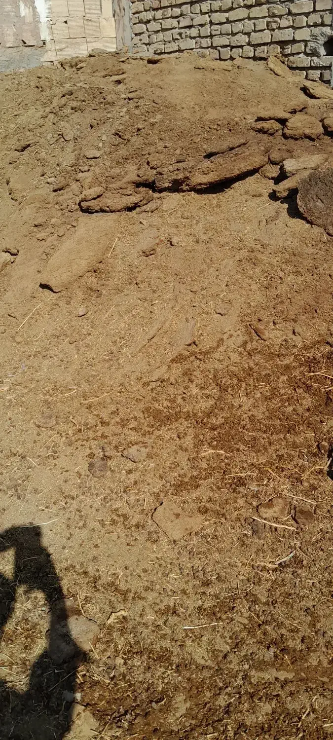 کود گوسفند|لوازم جانبی حیوانات|رفسنجان, |دیوار