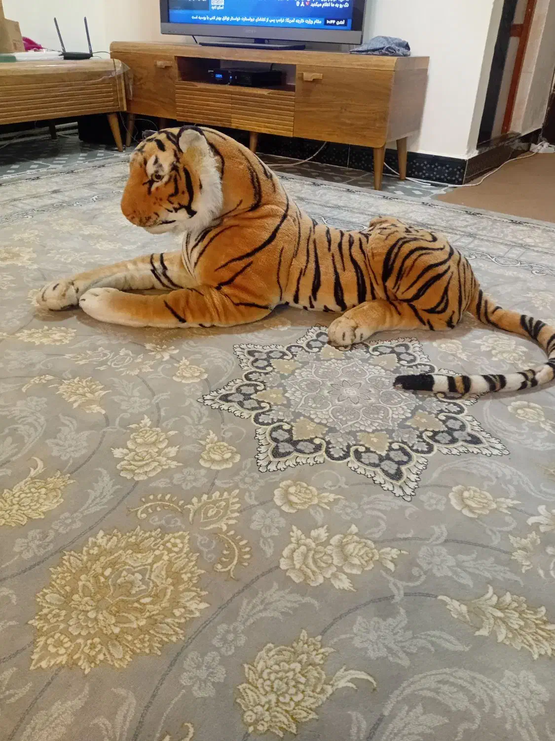 ببر دکوری|مجسمه، تندیس، ماکت|خرمآباد, |دیوار