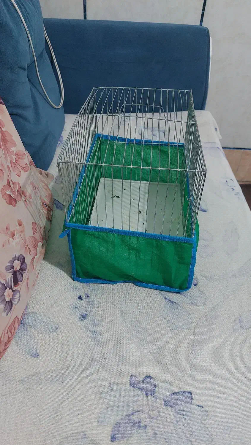 قفس پرنده فقط زنگ بزنین|لوازم جانبی حیوانات|گنبد کاووس, |دیوار