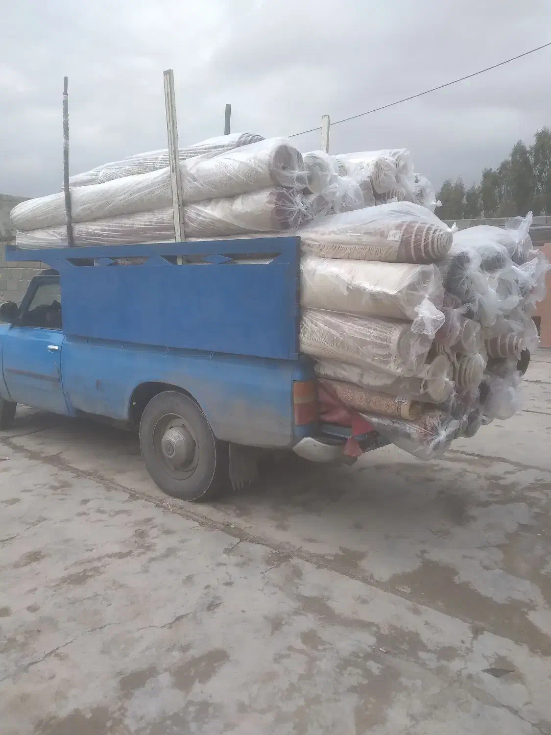 قالیشویی برند پاکشو|خدمات نظافت|قم, دورشهر|دیوار