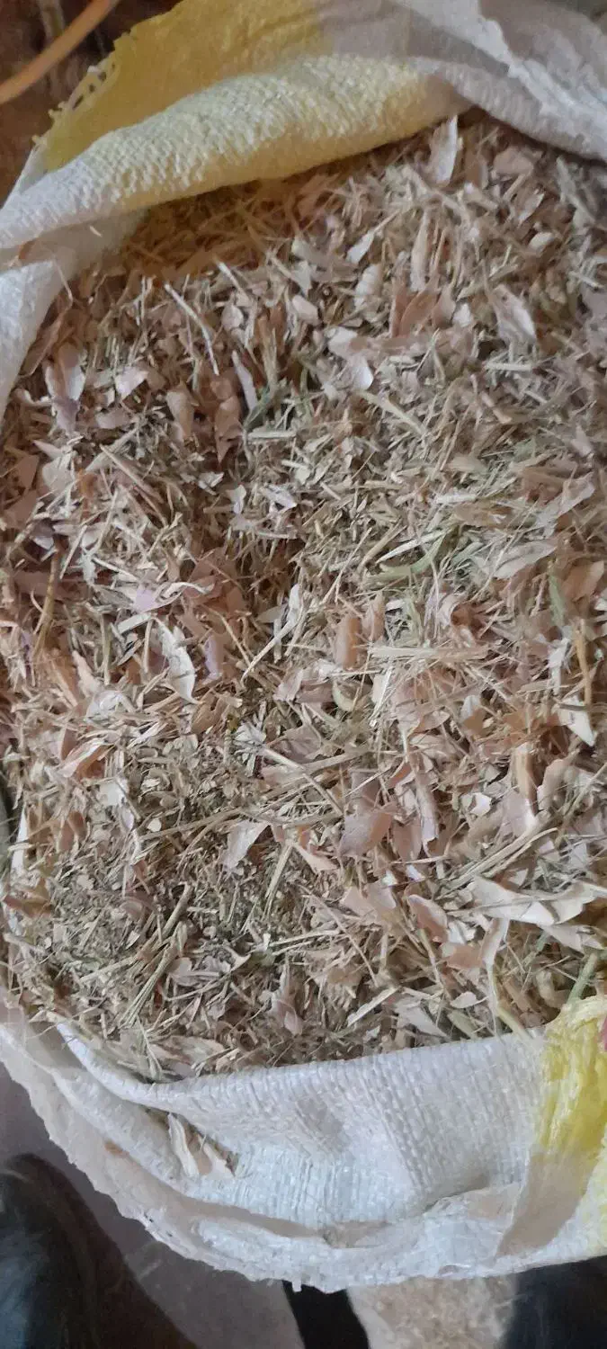 کاه لوبیا|لوازم جانبی حیوانات|قیدار, |دیوار