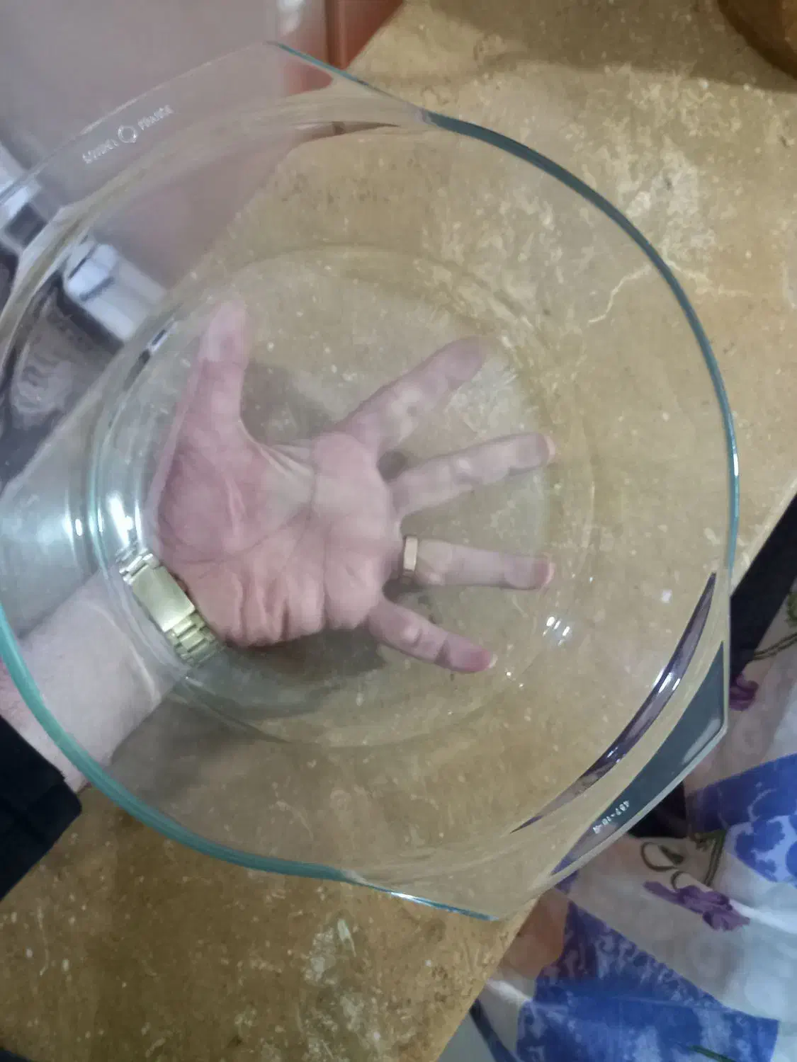 پیرکس|ظروف پخت‌وپز|لاهیجان, رجایی|دیوار