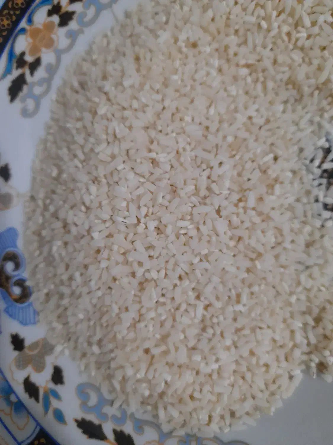 برنج هاشمی|خوردنی و آشامیدنی|لاهیجان, کوی زمانی|دیوار