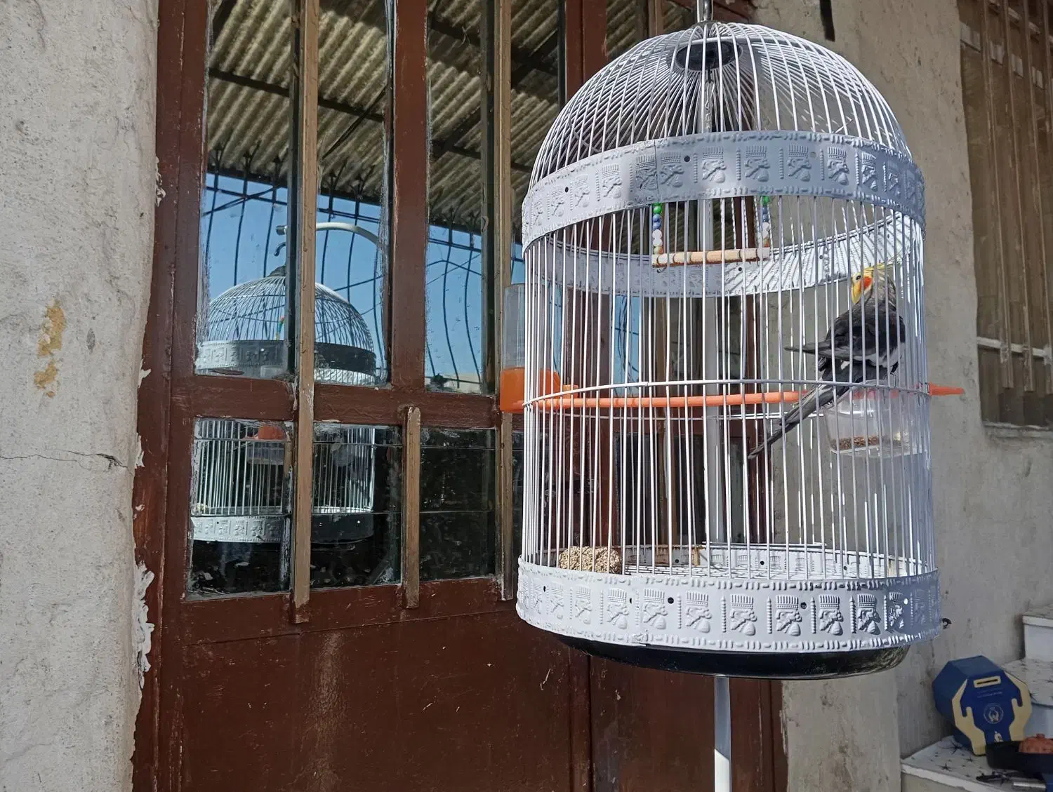 یک عدد قفس پایه دار|لوازم جانبی حیوانات|طرقبه, |دیوار