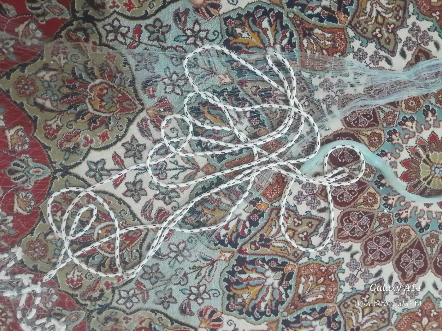 تور ماهیگیری|ماهیگیری|خرمآباد, |دیوار