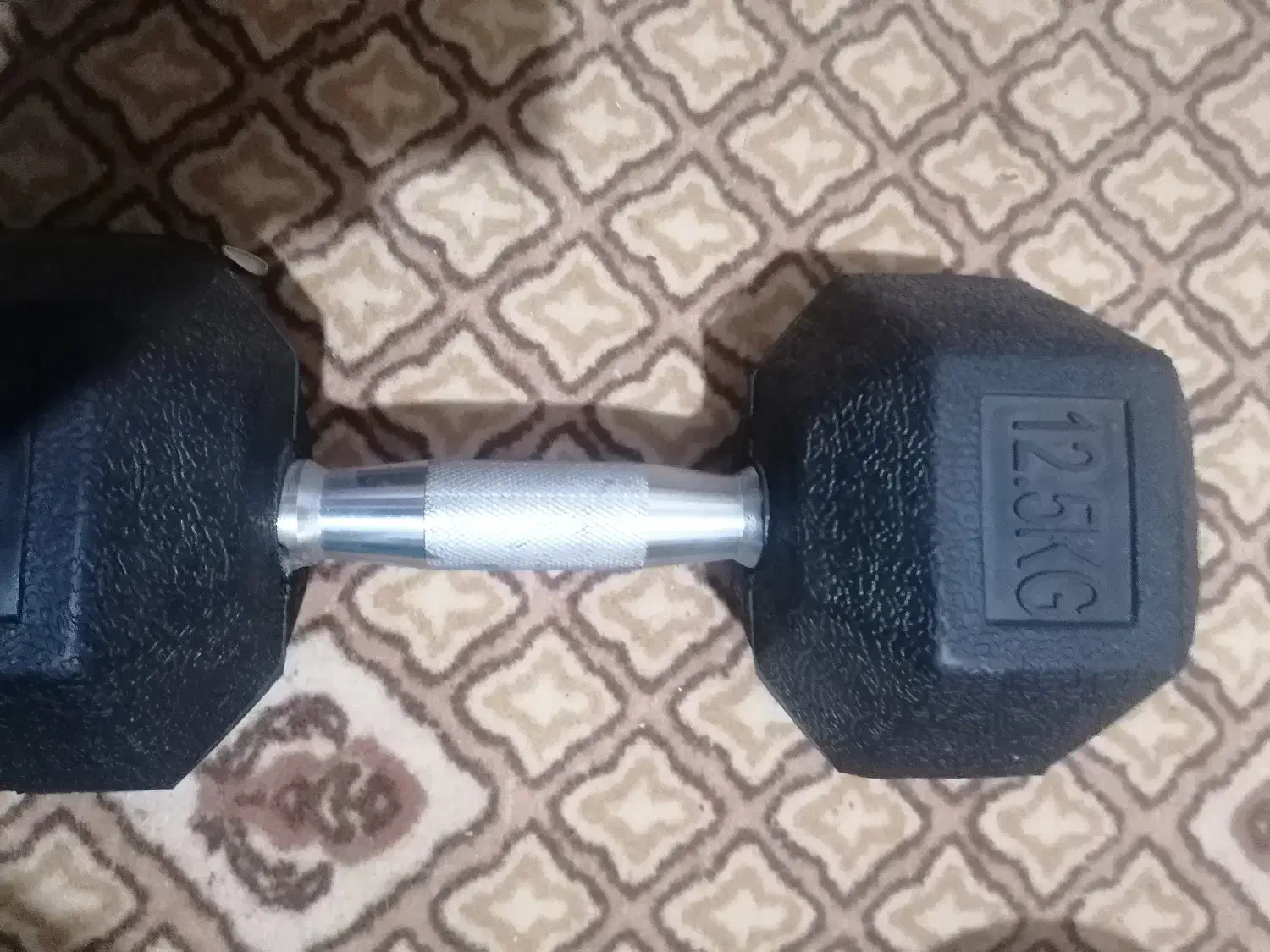 دمبل 12.5 نو|تجهیزات ورزشی|مشهد, بهاران|دیوار