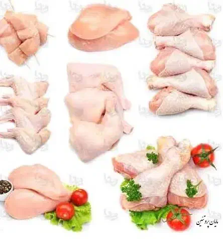 پروتیین باران|خوردنی و آشامیدنی|قم, زنبیل آباد|دیوار