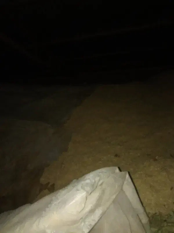 کاه دیم|حیوانات مزرعه|تربت جام, جلگه موسی آباد|دیوار