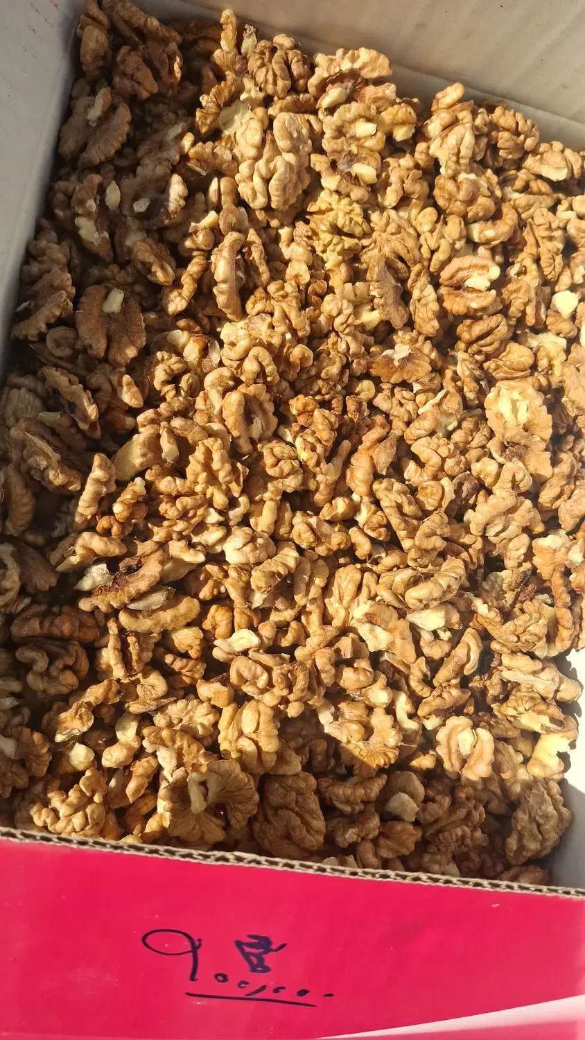 مغز گردو ایرانی|عمدهفروشی|کاشان, پشت شهربانی|دیوار