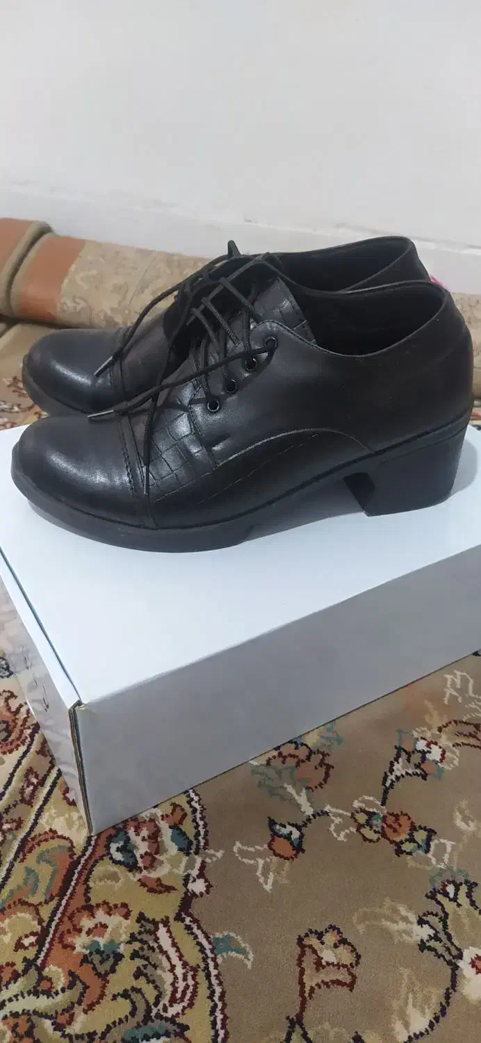 کفش زنانه|کیف، کفش، کمربند|اصفهان, کوی امام|دیوار