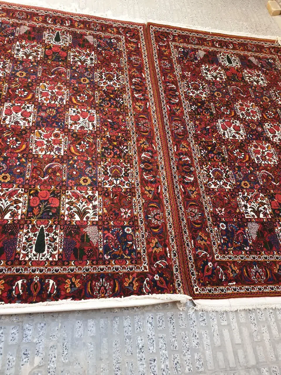 قالی دست بافت چالشتر|فرش|شهرکرد, |دیوار