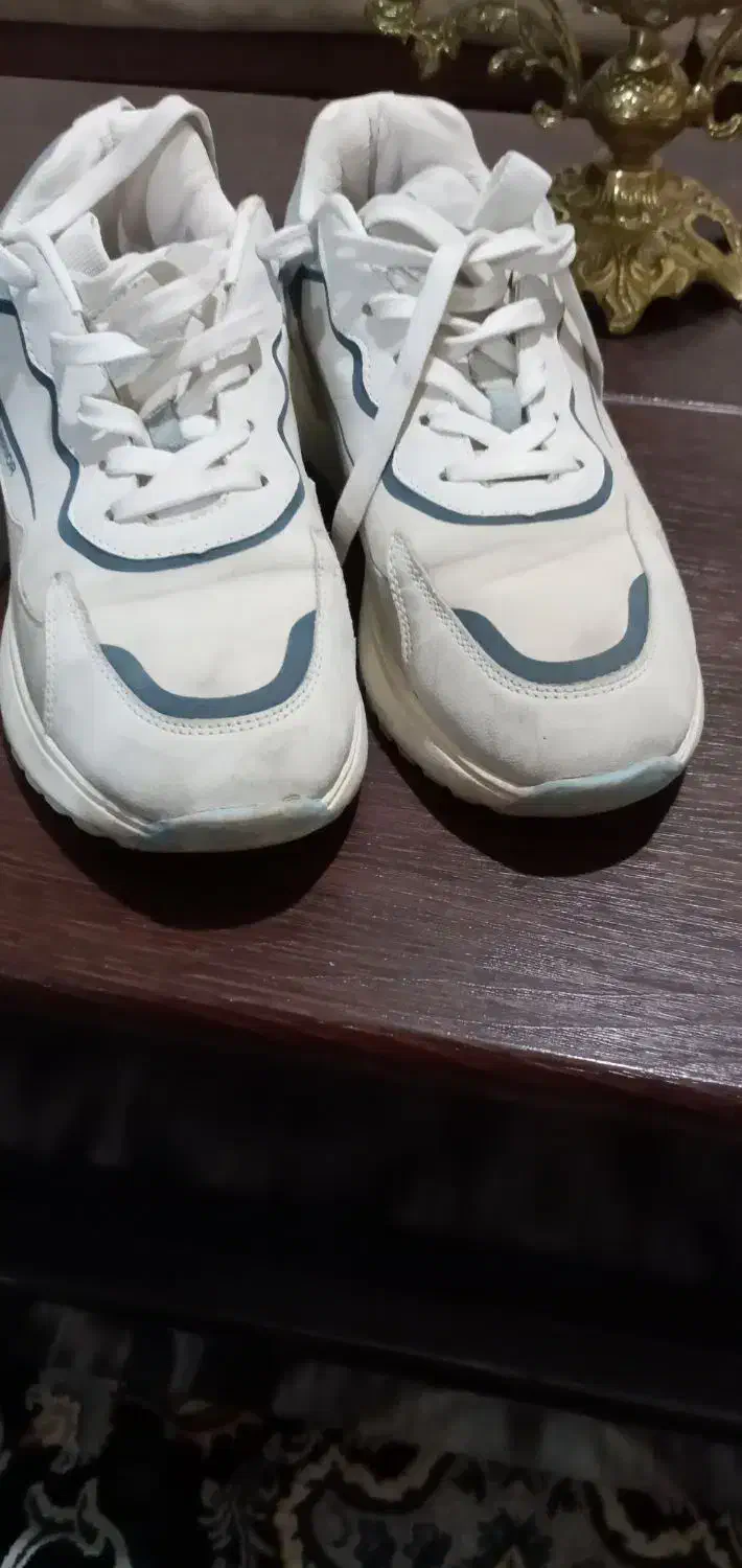 کفش نو|کیف، کفش، کمربند|کوهدشت, |دیوار