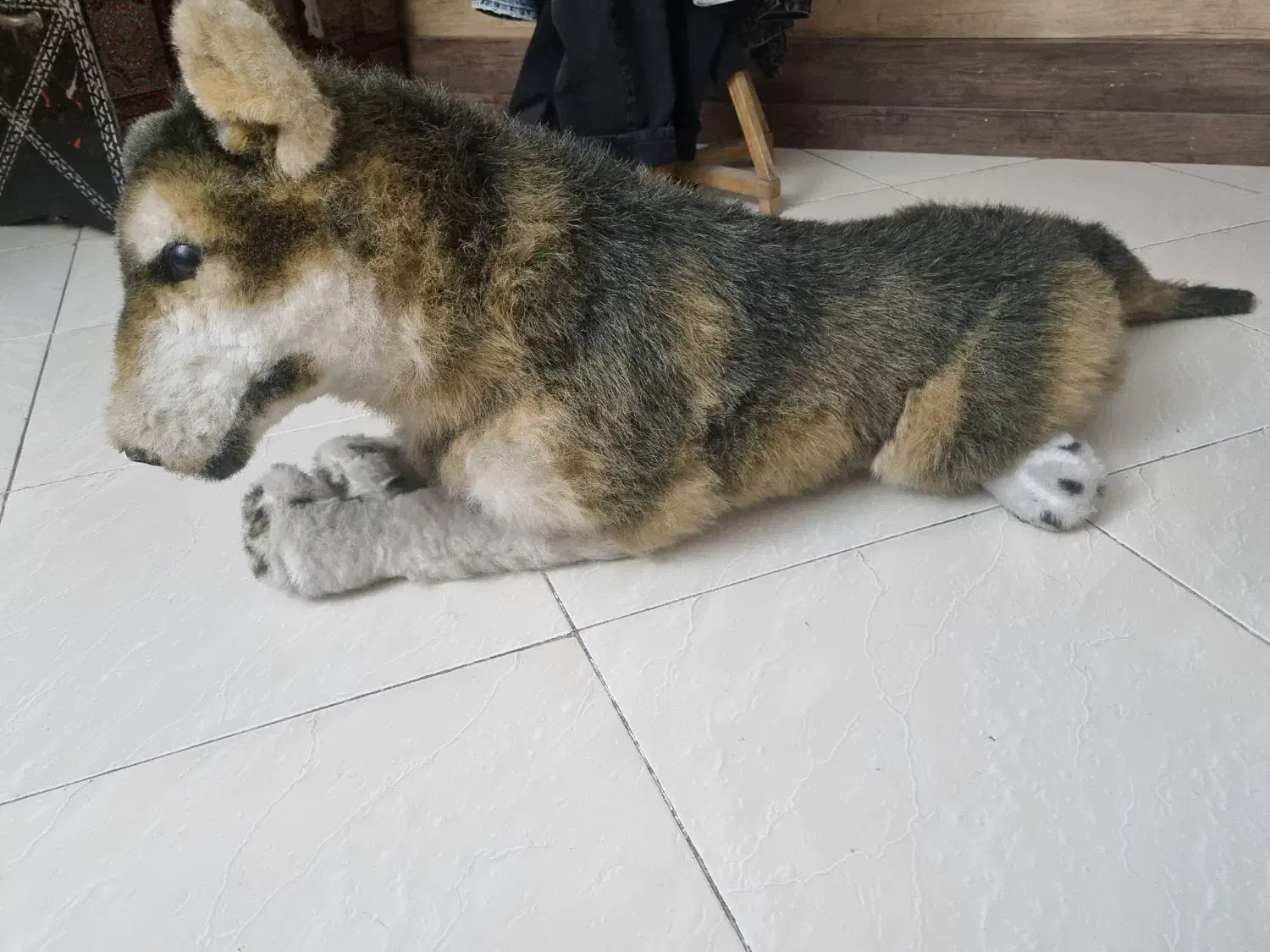 عروسک گرگ|اسباب‌بازی بچه|مشهد, تربیت (صدف)|دیوار