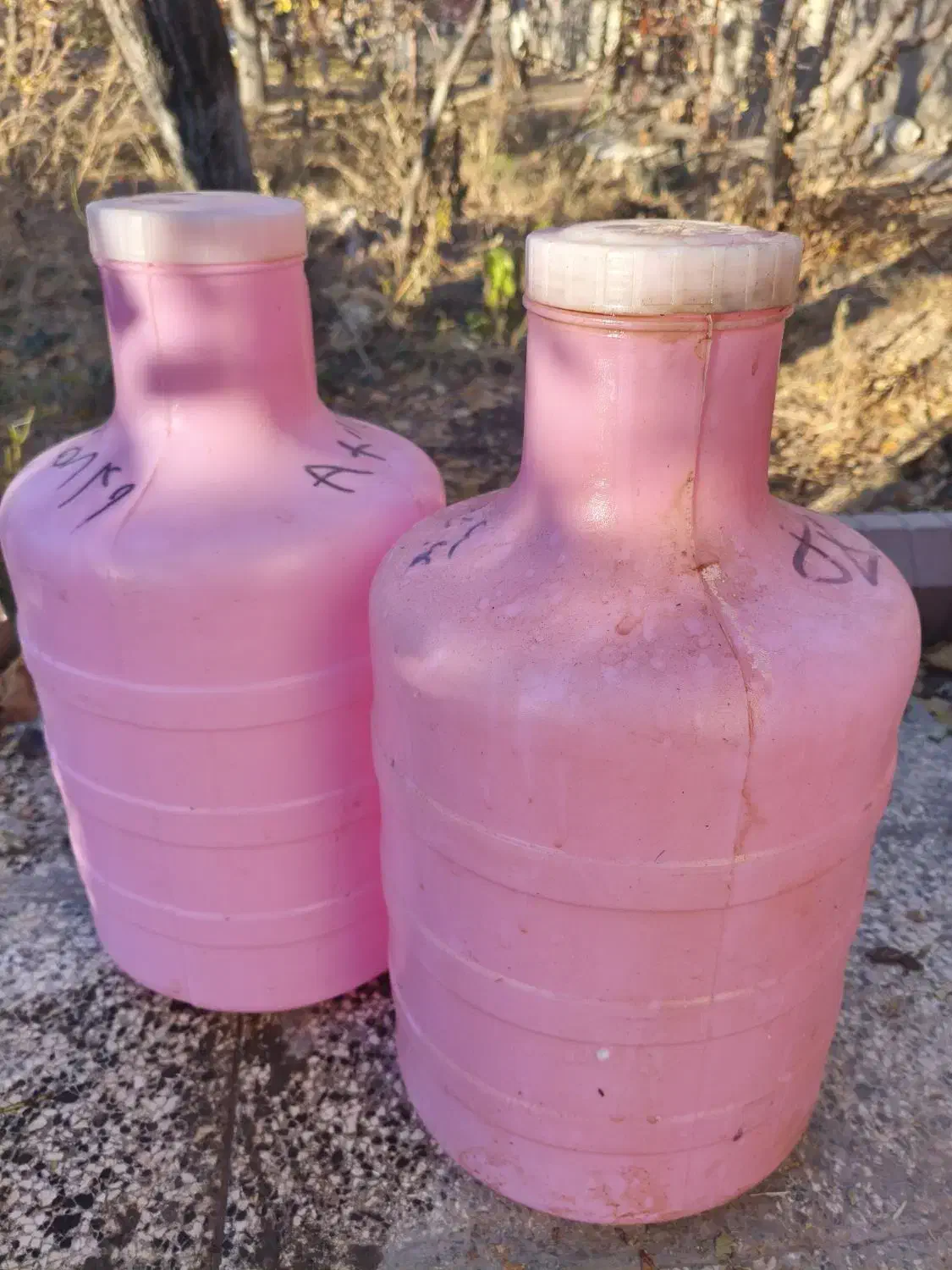 فروش دبه|ظروف نگهدارنده، پلاستیکی، یک‌بارمصرف|بسطام, |دیوار