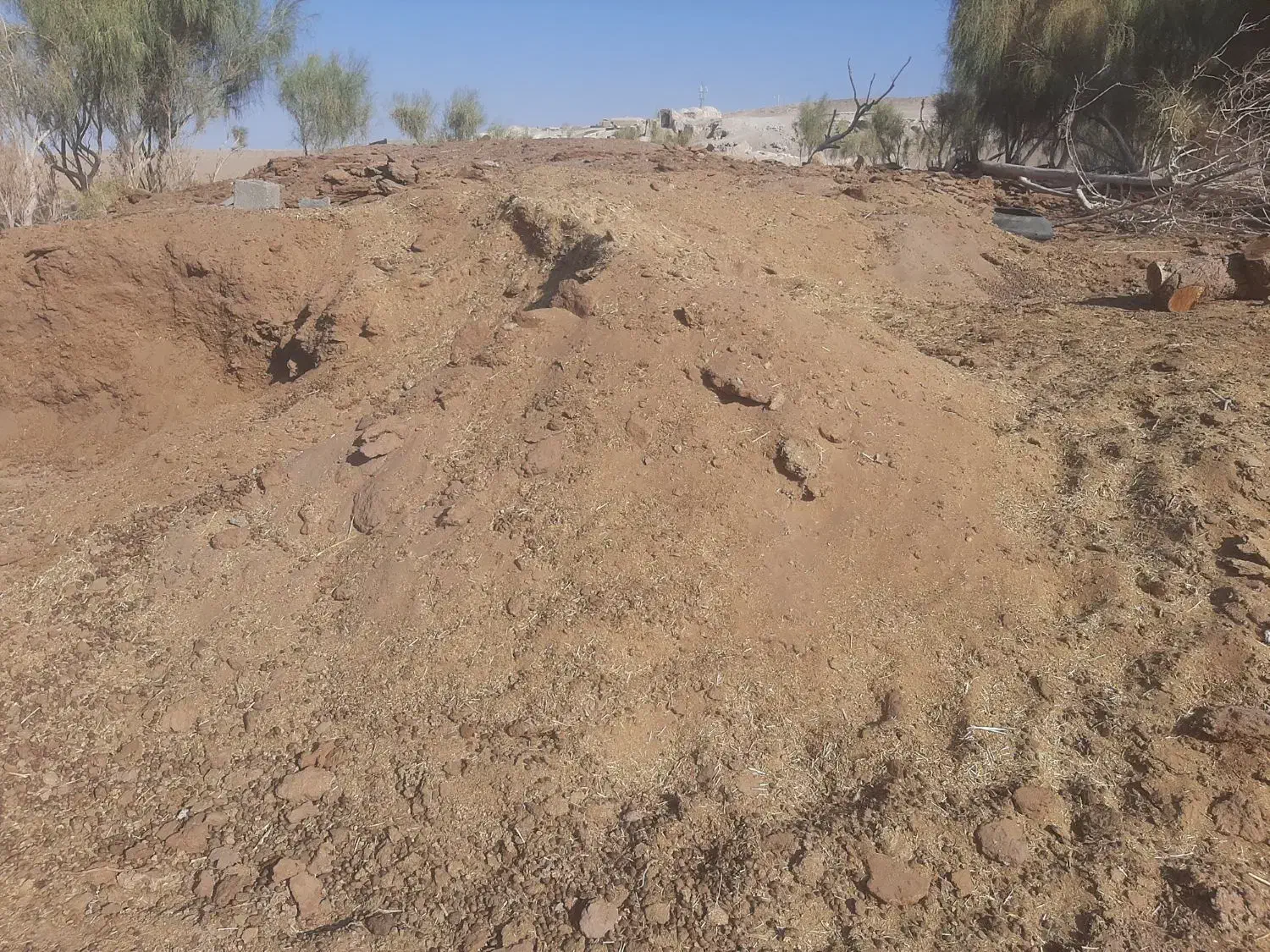 کود گوسفندی|خدمات باغبانی و درختکاری|جلگه ماژان, |دیوار