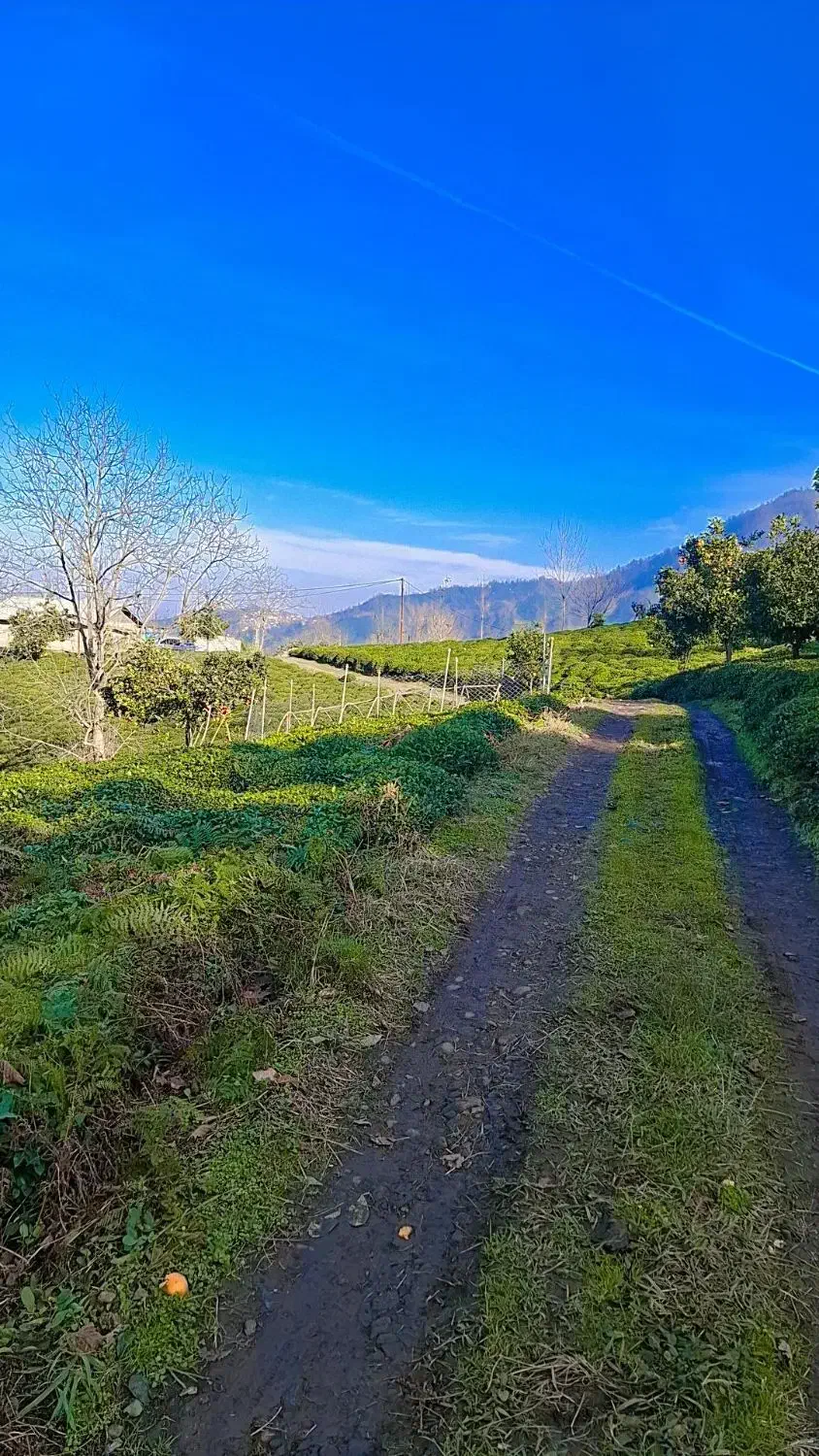 باغی|فروش زمین و ملک کلنگی|رانکوه, |دیوار