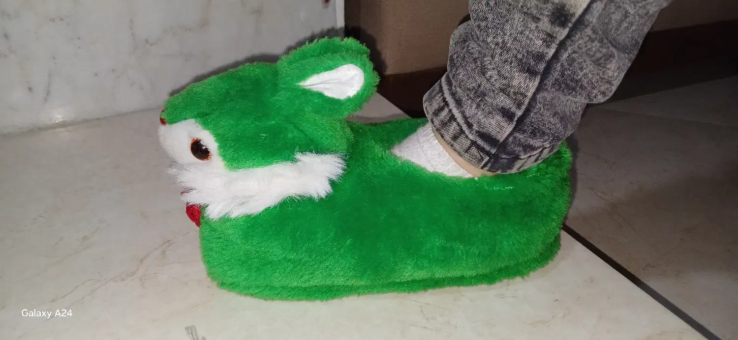 دمپایی خانگی|کیف، کفش، کمربند|اردبیل, |دیوار