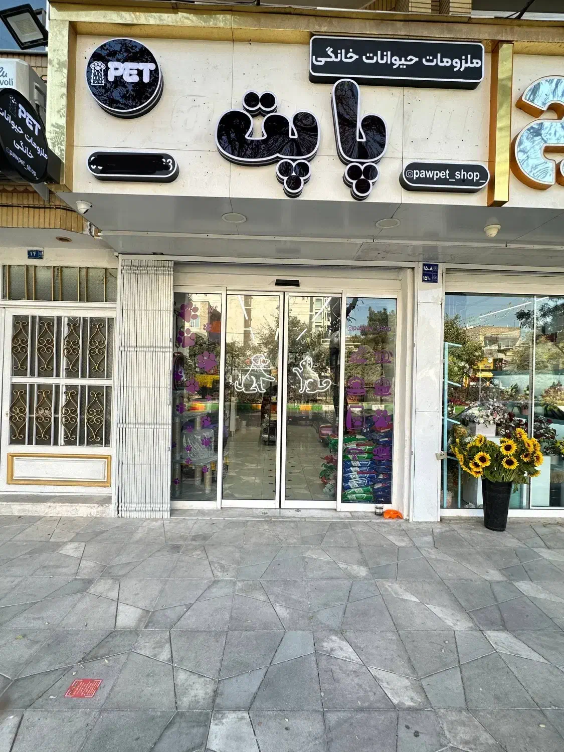 پت شاپ پاپت|لوازم جانبی حیوانات|مشهد, نیروی هوایی|دیوار