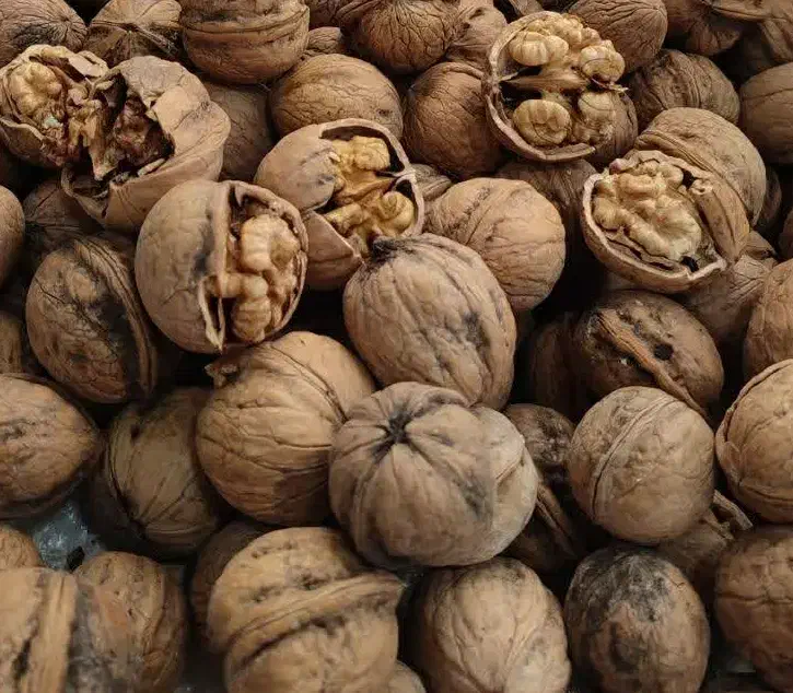 شیره انگور خوشمزه هیزم پز .کره محلی پنیر وبادوم...|خوردنی و آشامیدنی|خرمدره, |دیوار