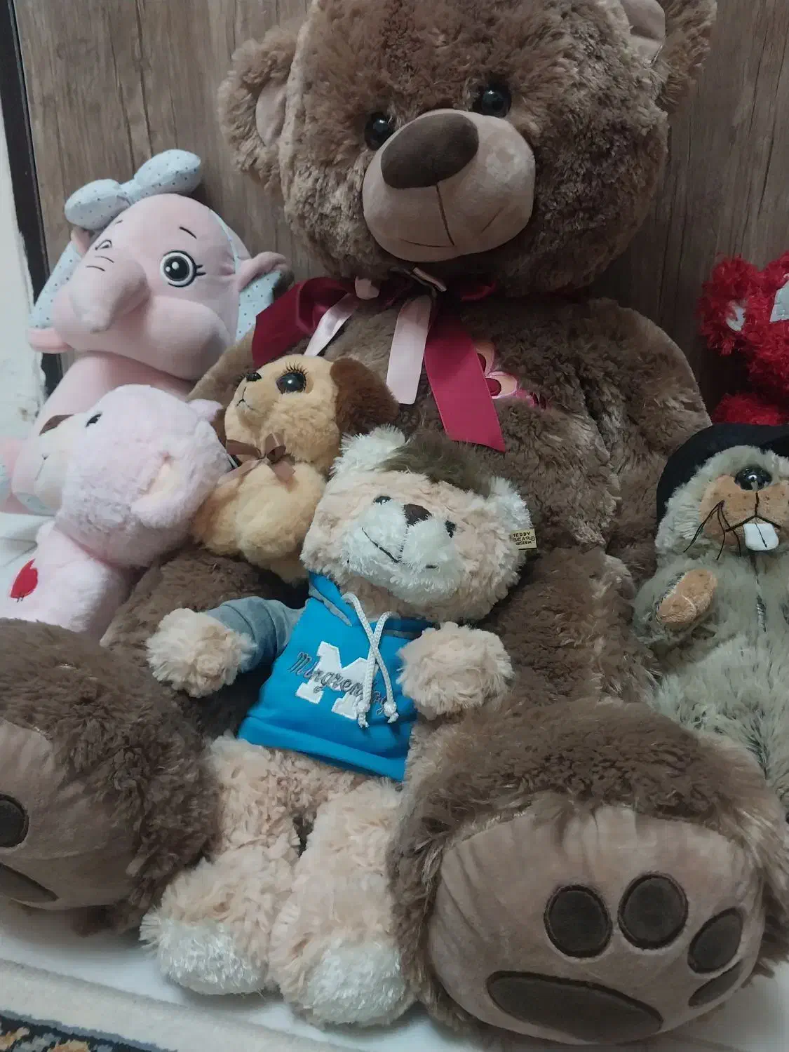 عروسک|اسباب‌‌بازی|پردیس, فاز ۱۱|دیوار