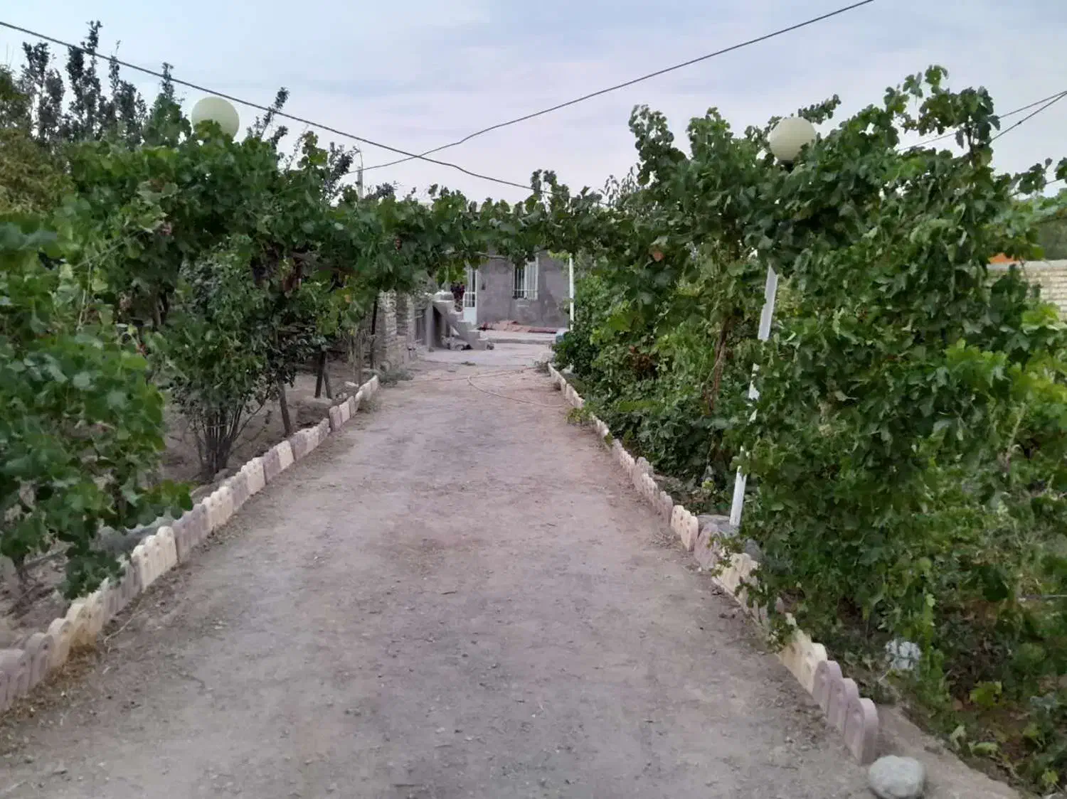 ویلا باغ واقع در روستای امراباد|فروش خانه و ویلا|معصومیه, |دیوار