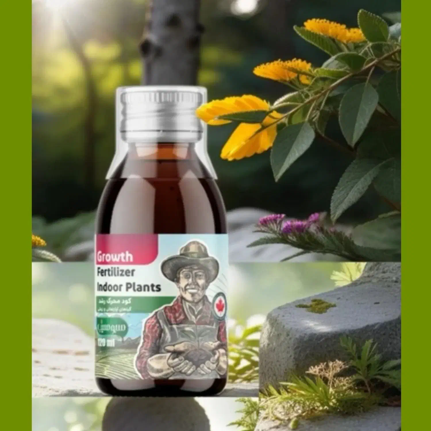 قرص کود( آپارتمانی) ویژه دوستداران گل های خانگی|گل و گیاه طبیعی|محمدیه-قزوین, |دیوار