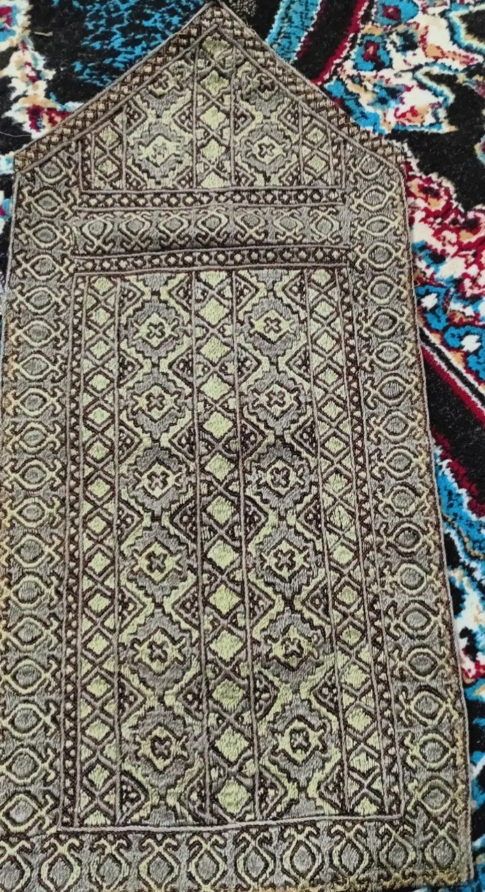 زیی|لباس|زاهدان, |دیوار