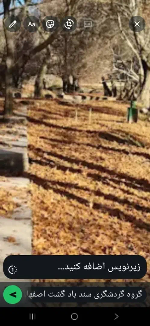 تور یکروزه جنگل زیبای پروز|تور و چارتر|اصفهان, ارغوانیه|دیوار