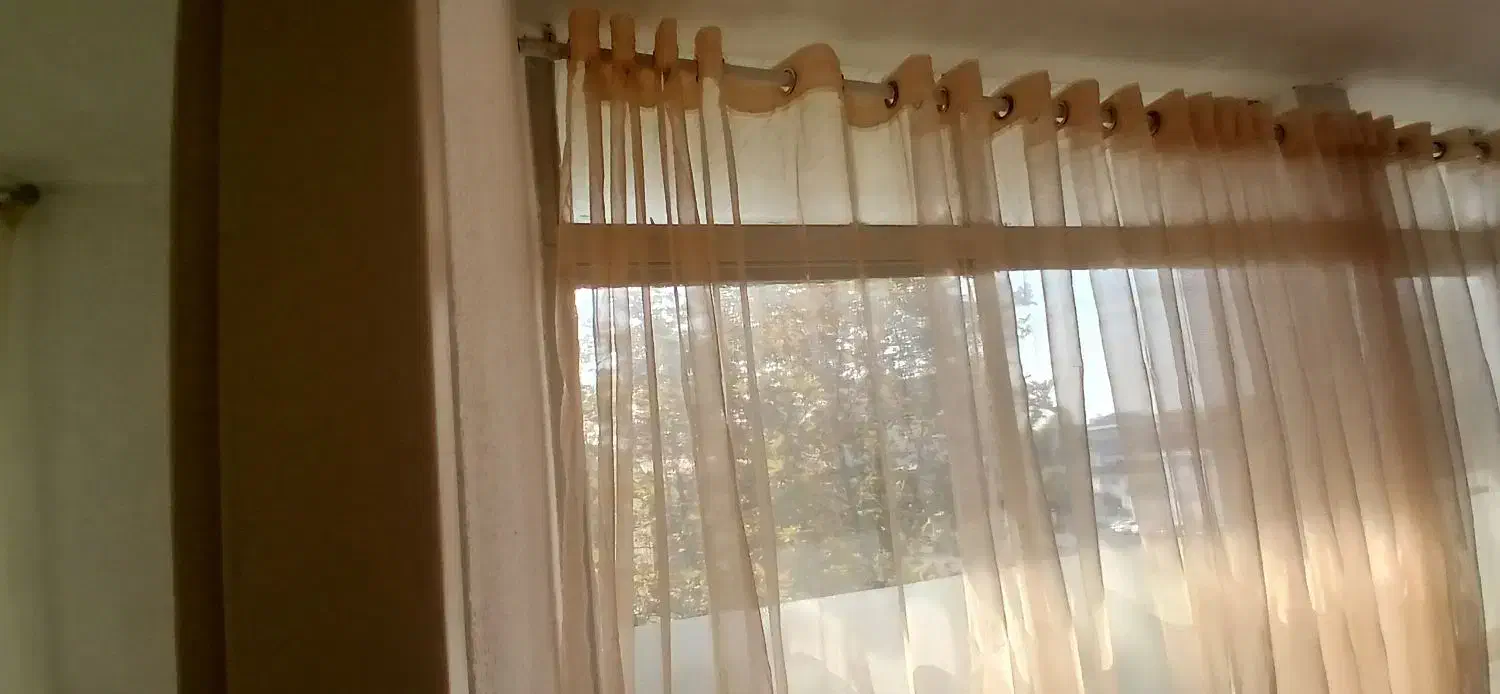 پرده با میل پرده  ۱۳ متر  پانچ شده|پرده، رانر، رومیزی|رشت, چله خانه|دیوار