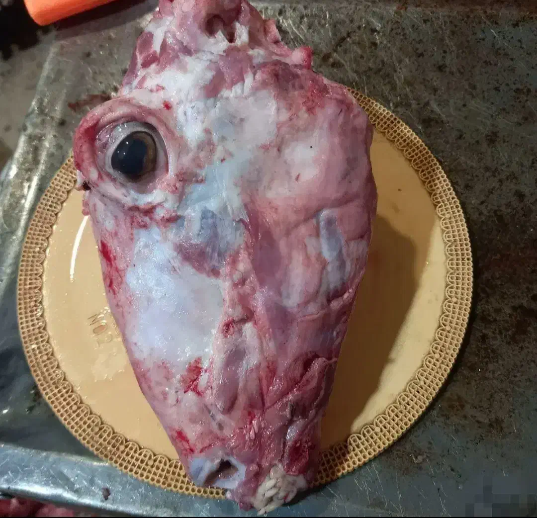 قصاب گوشت گوسفندی(کهره،بره،بز)قصابی|خوردنی و آشامیدنی|فسا, |دیوار