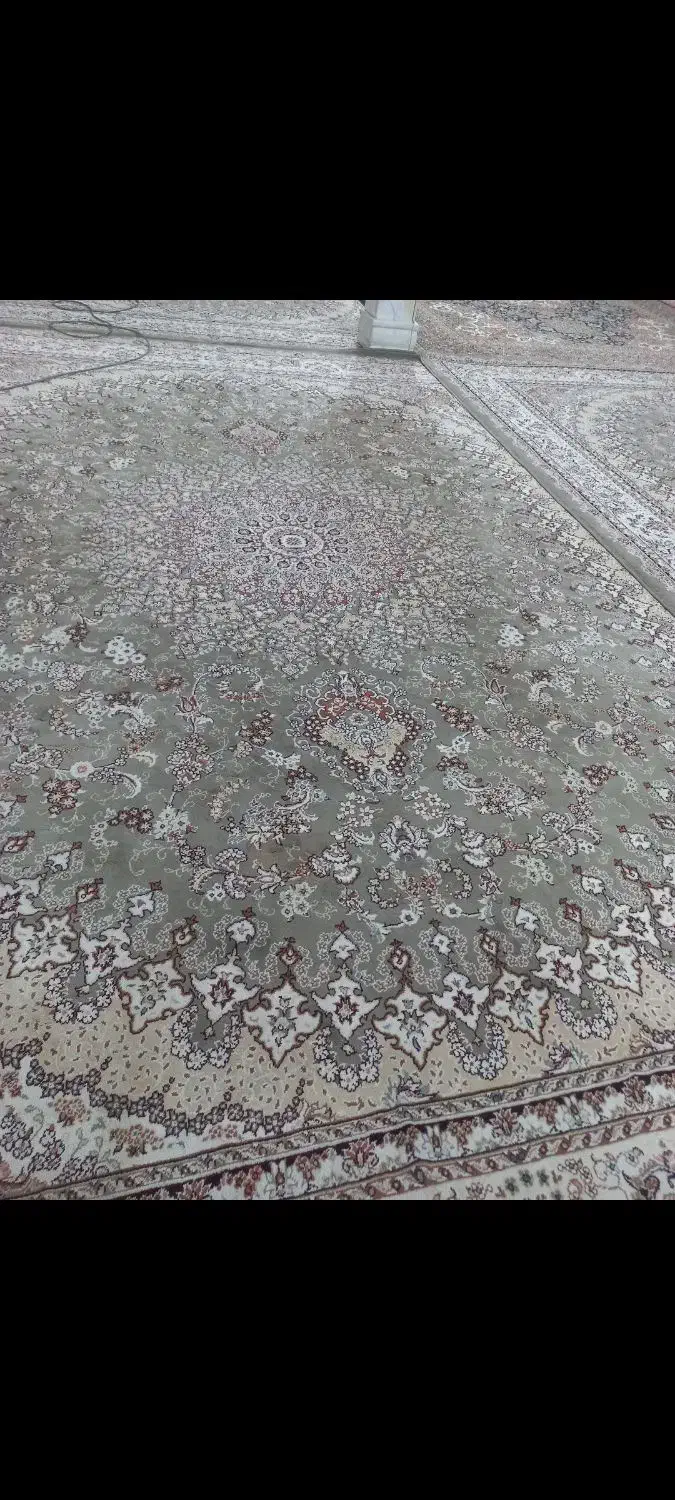 فرش ۶ متری|فرش|قم, ولیعصر|دیوار