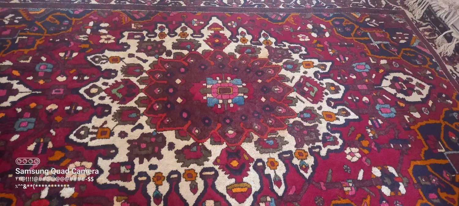 قالی محلی|فرش|ایذه, |دیوار